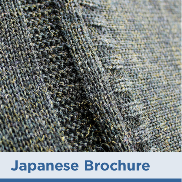 BROCHURE - Japanese